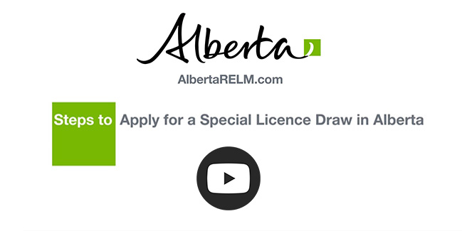 Steps to Apply for a Special Licence Draw